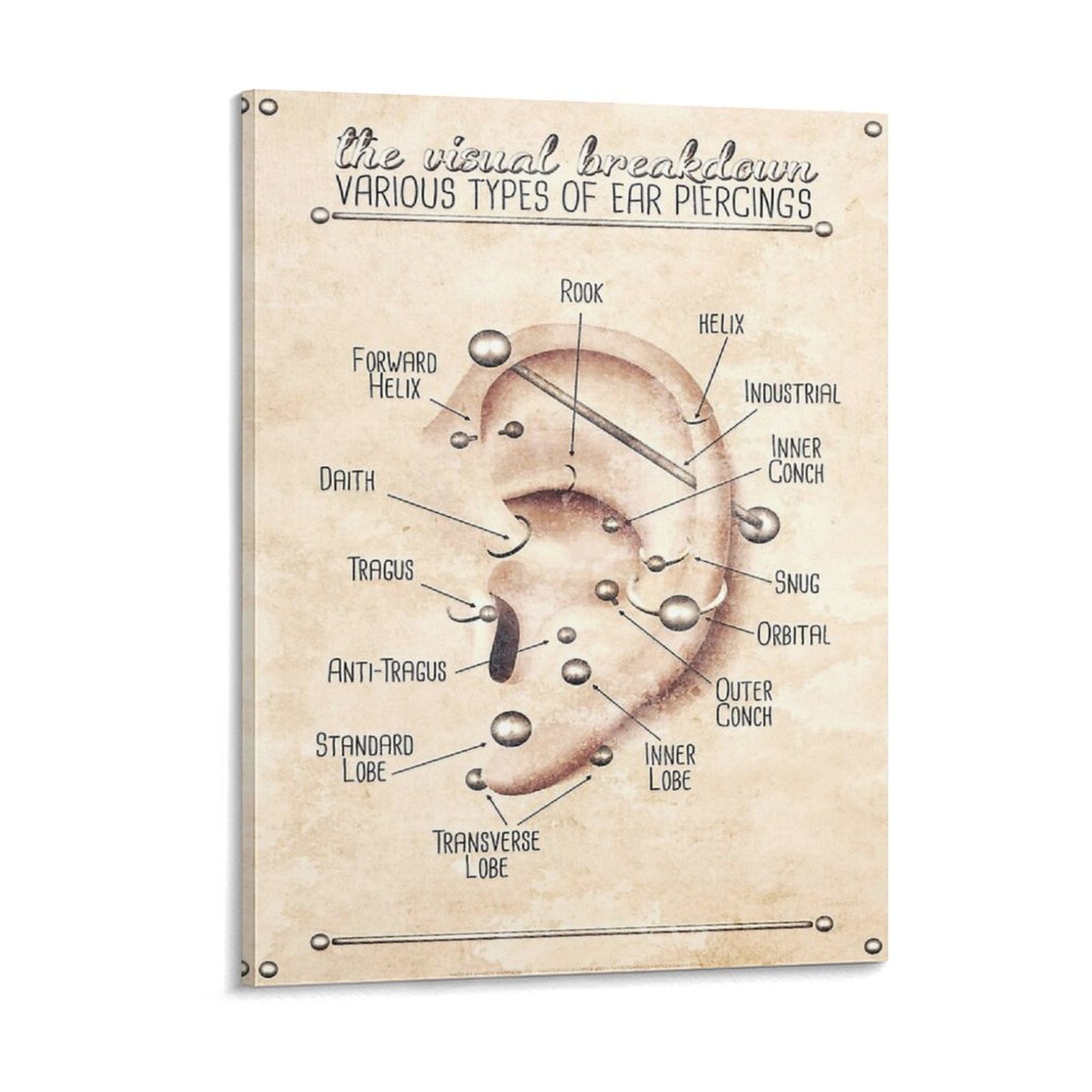 Art Print Framed - Ear Piercing Infographic Chart Black And