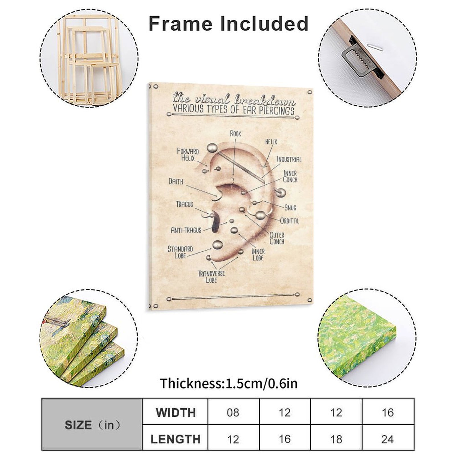 Ear Piercing Infographic Chart - Art Print Framed avis et prix