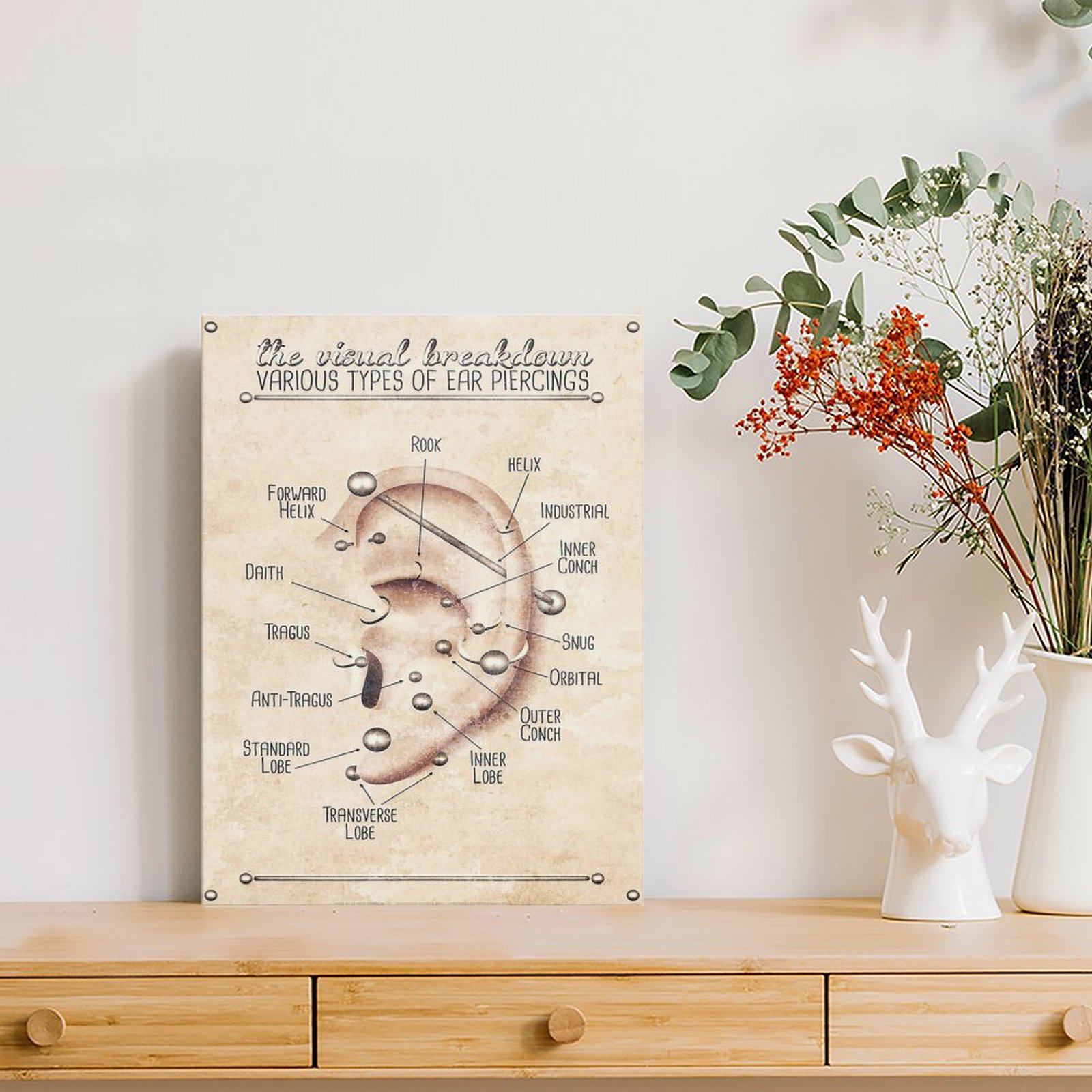 Ear Piercing Infographic Chart - Art Print Framed avis et prix