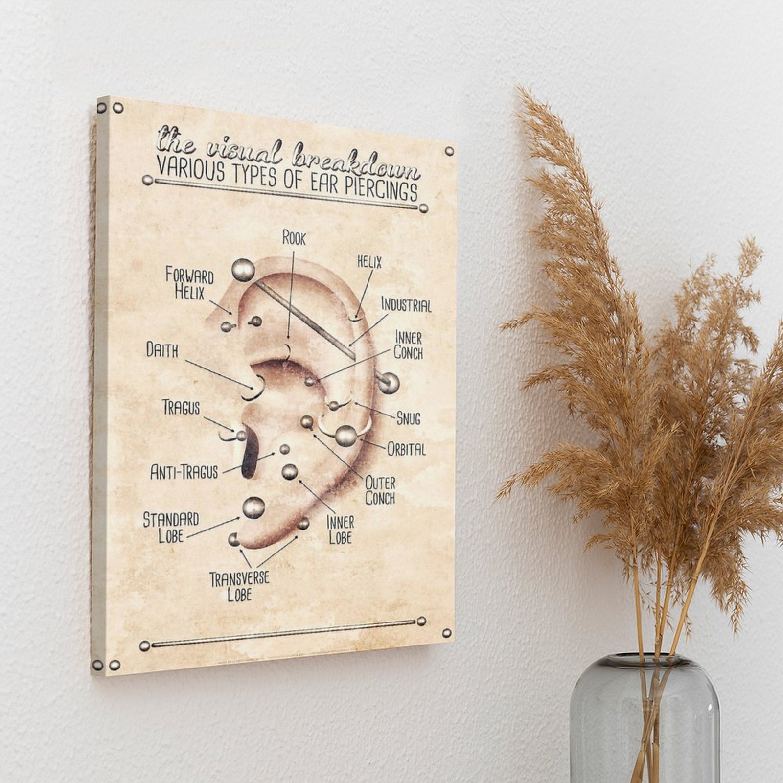 Ear Piercing Infographic Chart - Art Print Framed avis et prix